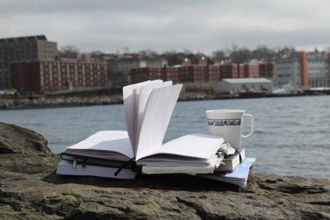 An open book and empty tea cup sitting by the seaside, pages billowing in the breeze.